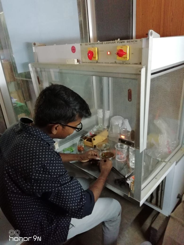 Biotechnology Lab